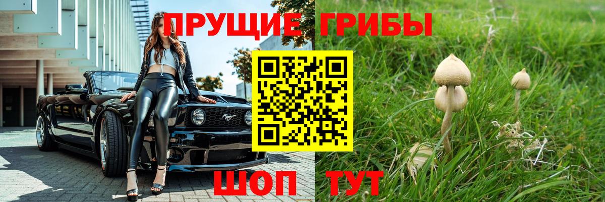 Владивосток  закладки  Вход с VPN  Галлюциногенные грибы Psilocybe 
